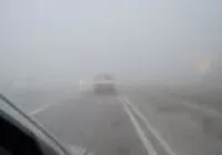 driving in fog